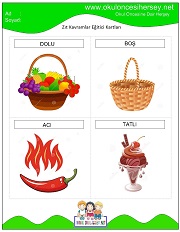 Zıt Kavram Eğitici Kartları